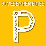 Paardenkastanje