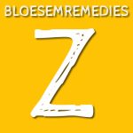 Zonneroosje
